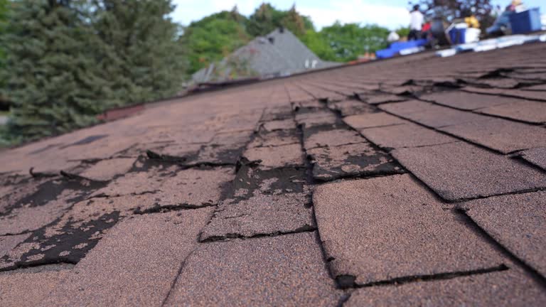 Best Asphalt Shingle Roofing  in Rose Valley, PA