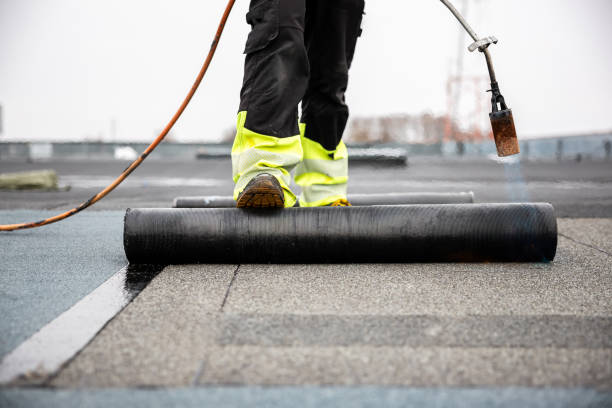 Best Asphalt Shingles Roofing  in Rose Valley, PA